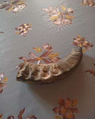 Corno Di Bue 