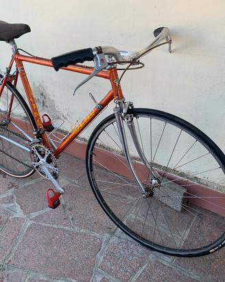 Bicicletta Olmo