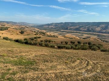 Vendita terreno e abitazione