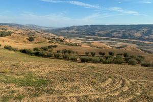 Vendita terreno e abitazione