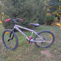Bicicletta per bambino ruote 24"