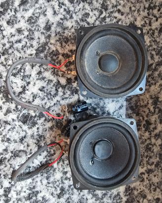 Coppia altoparlanti woofer migrante Sony 