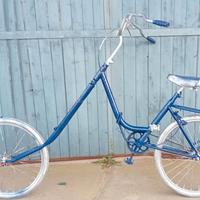 bicicletta custom 