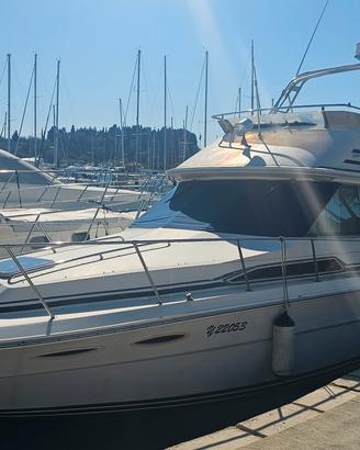 Barca Sea Ray 340
