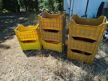 cassette in plastica per agricoltura 