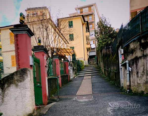 LIGURIA GENOVA PRIMA COLLINA 5 Vani NUOVI