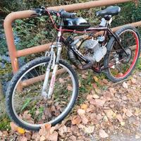 bici a motore 