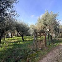 TER. RESIDENZIALE A CAVE