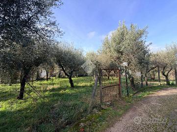 TER. RESIDENZIALE A CAVE