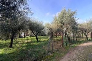 TER. RESIDENZIALE A CAVE