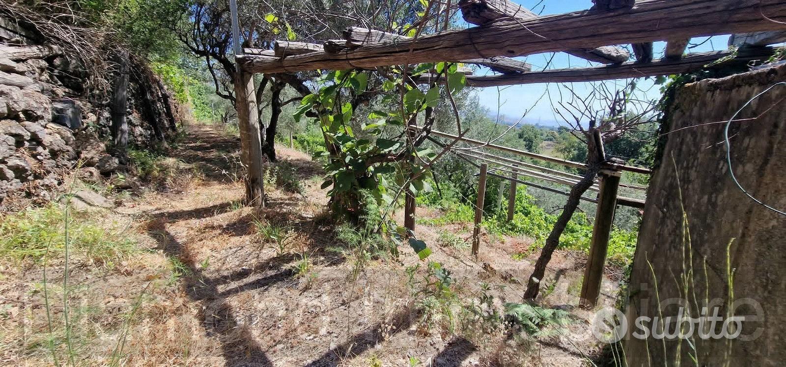 Casa con terreno a Presa Piedimonte Etneo - Altro