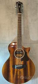 Ibanez AE2412-NT 12 Corde + Custodia Semi Rigida 