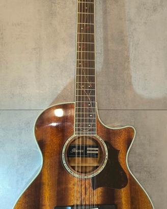 Ibanez AE2412-NT 12 Corde + Custodia Semi Rigida 
