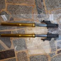 Forcelle oro showa Honda Hornet 600 2008