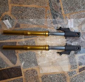 Forcelle oro showa Honda Hornet 600 2008