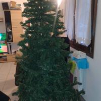 Albero di Natale dakota 