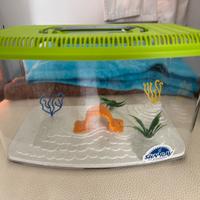 Contenitore multiuso ventilato