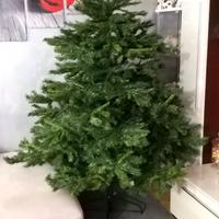 Albero di Natale
