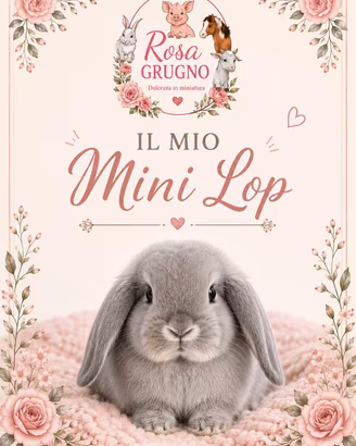Mini lop