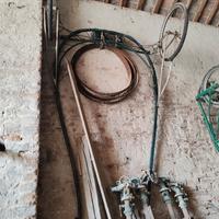 Sulky in legno per cavalli