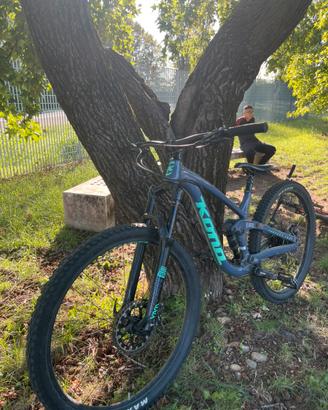 Kona process 153