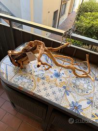 Legno radice grande amtra
