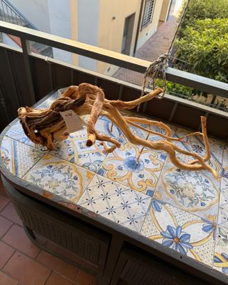 Legno radice grande amtra