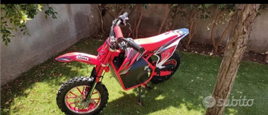 Mini cross elettrica CRZ 1000 watt 36v