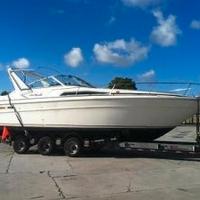 Searay 33