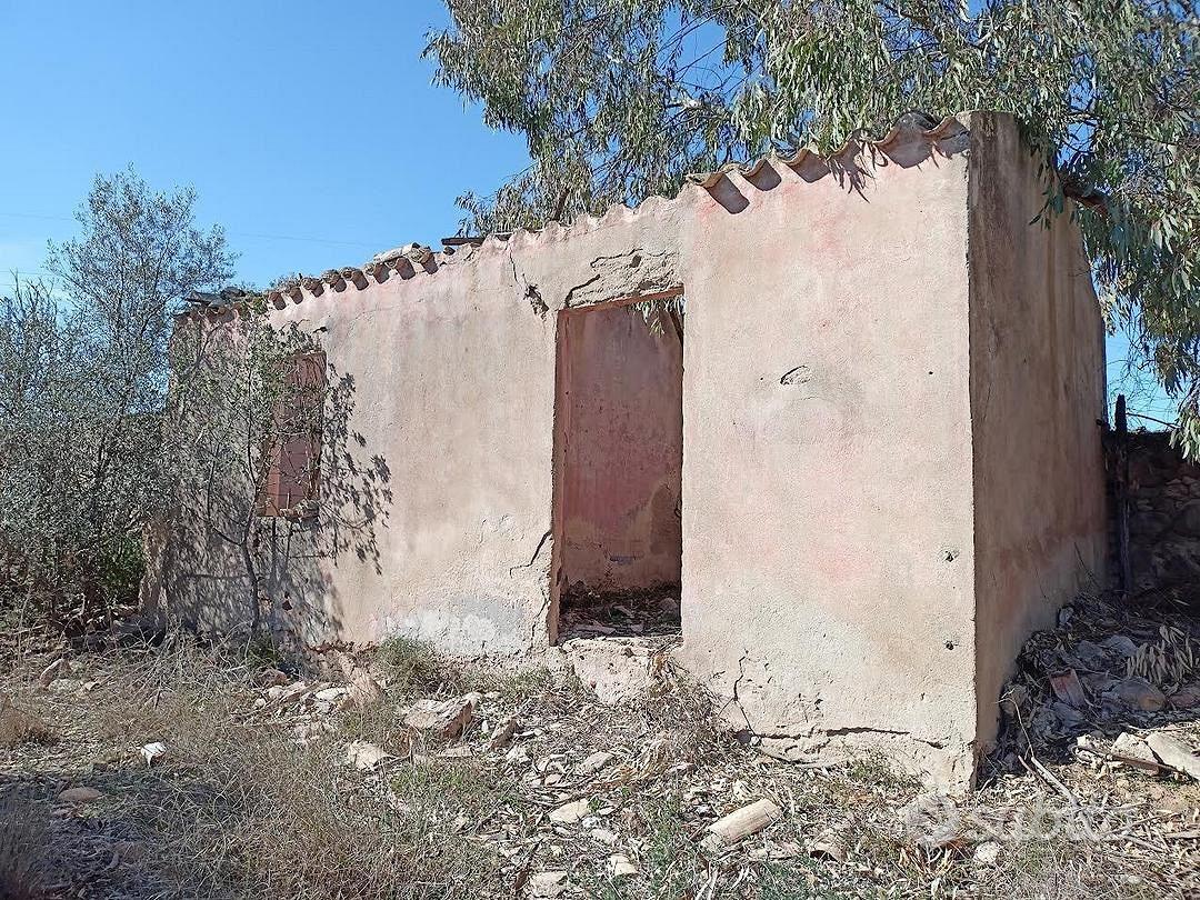 Terreno agricolo recintato di 21000 metri - Vista 3