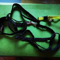 Guinzaglio per gatto con collare 