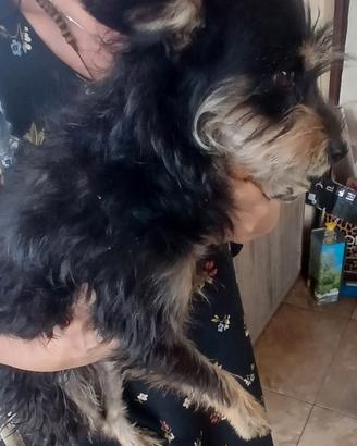 Pepa