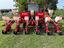 Immagine 5