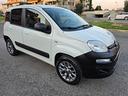 fiat-panda-1-3-mjt-80-cv-s-s-4x4