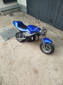 Minimoto pista perfettamente funzionante