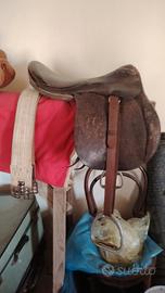 Sella standard 