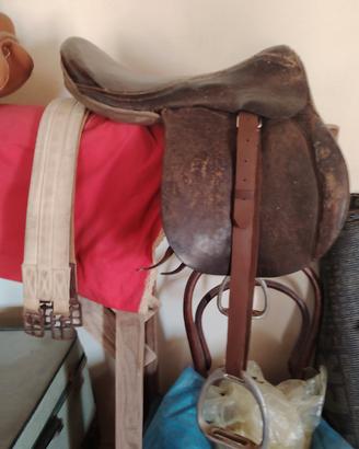 Sella standard 