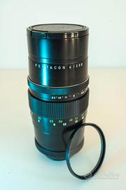 Pentacon 4/200