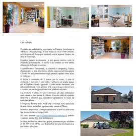Studio veterinario in Borgogna