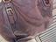 Immagine 6