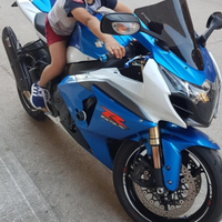 Suzuki gsxr 1000