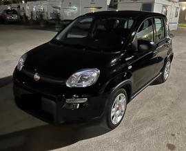 FIAT Panda 3ª serie - 2024 - Km 10000 - Ibrida