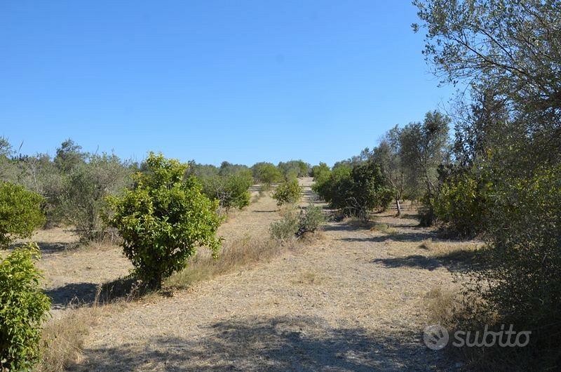 Terreno 2.8 ettari edificabile Marzamemi Pachino - Vista 4