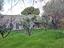 Immagine 21