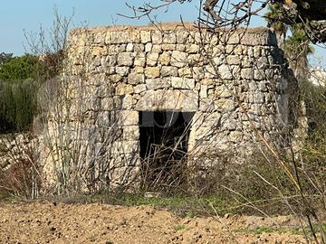 Terreno Agricolo Ugento [Cod. rif 3275972VCG]