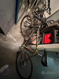 Coppia Mountain bike vintage