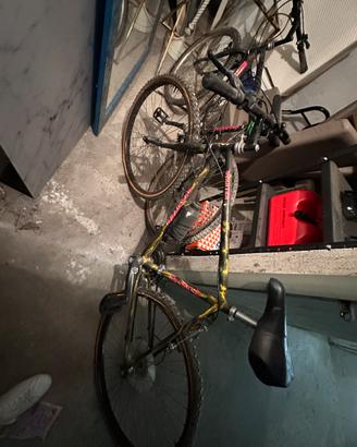 Coppia Mountain bike vintage