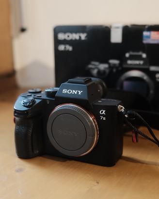 Sony A7III - 14.000 scatti
