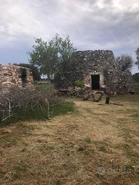 Trullo abitabile antico forno e cisterna
