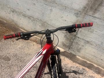 bici. lombardo